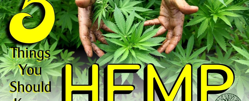 5 Things You Should Know About Hemp